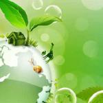 পরিবেশ রক্ষায় সবুজ উদ্যোগ গ্রহণ করছে দেশ