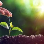 পরিবেশ সংরক্ষণ: আমাদের সম্মিলিত দায়িত্ব