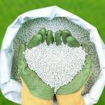 সার কিনতে নতুন উৎসের খোঁজ