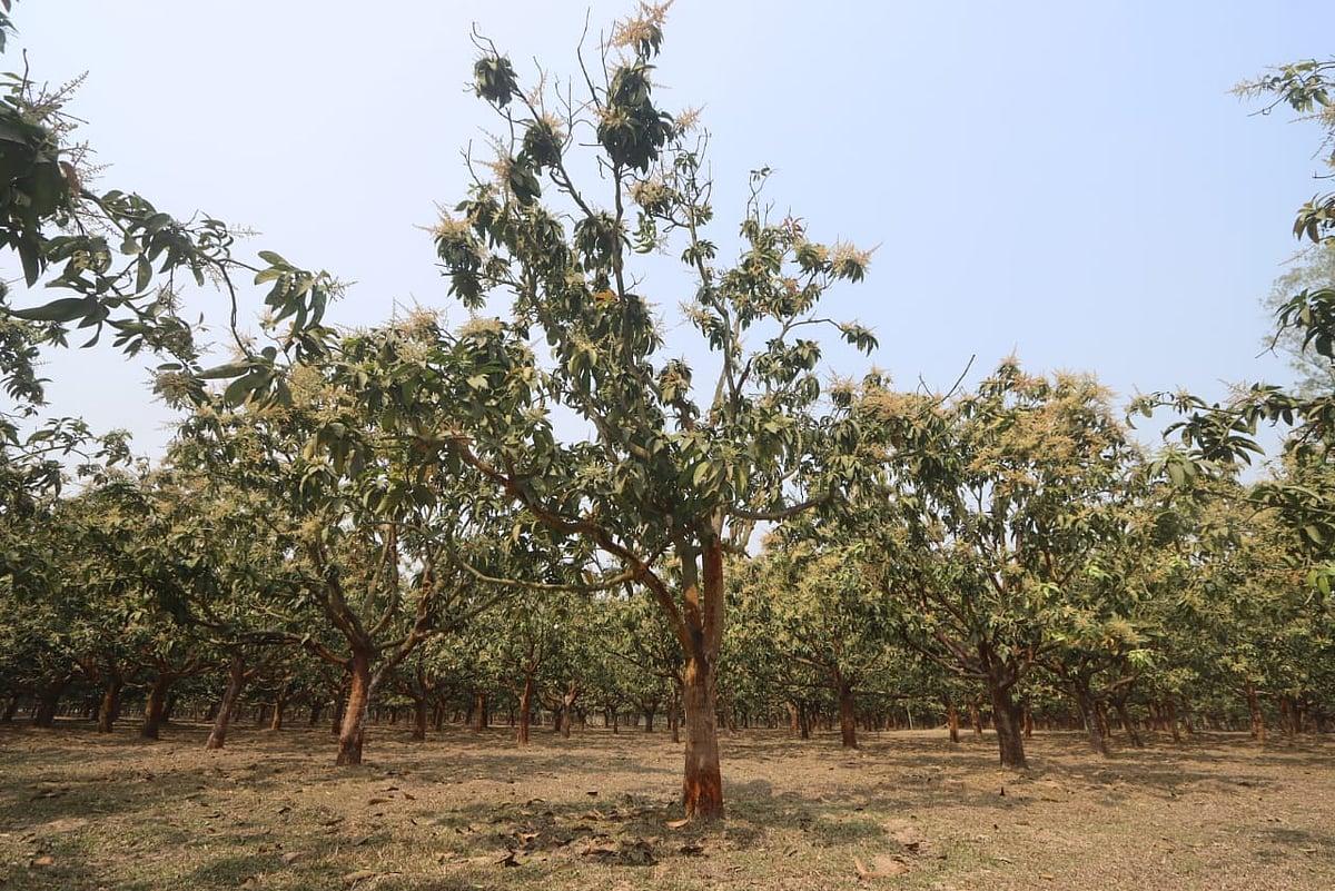 prothomalo-bangla%2F2026-03-03%2Fz0rjm6vt%2F%E0%A7