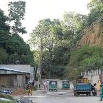 কী রয়েছে ‘ভয়ংকর’ সেই জঙ্গল সলিমপুরে