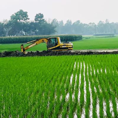 ঈদের আগে নবাবগঞ্জে কৃষিজমির মাটি কাটার হিড়িক, স্থায়ী সমাধান চান স্থানীয়রা