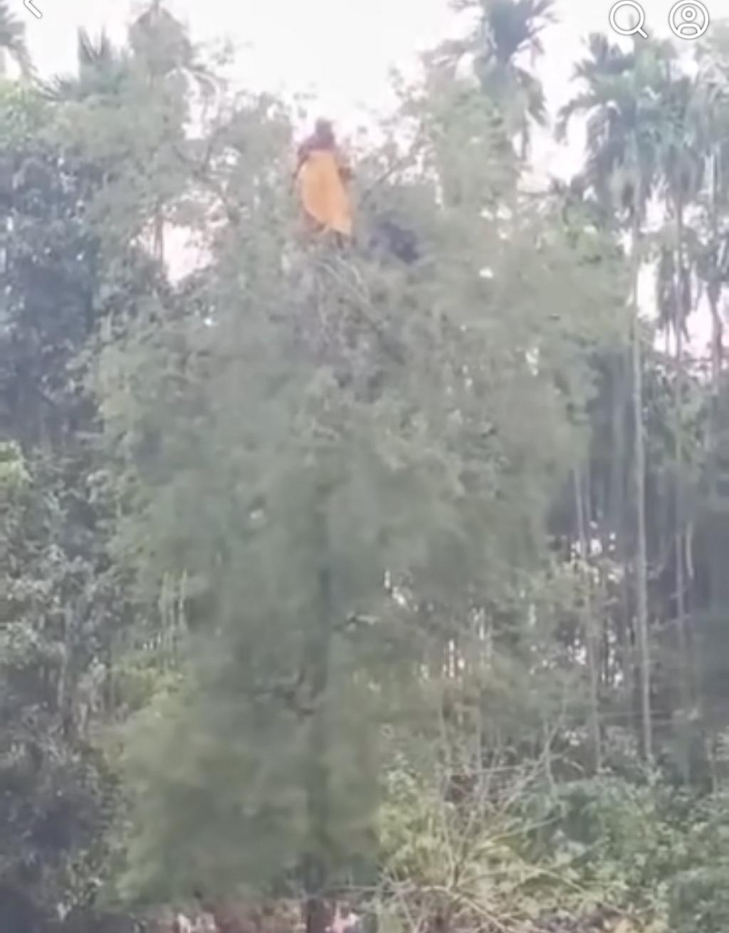 রাতে নিখোঁজ গৃহবধূকে সকালে পাওয়া গেল গাছের মগডালে, কৌতূহলীদের ভিড়
