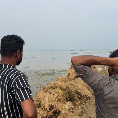 ‘ব্ল্যাক রাইসের’ সঙ্গে ডুবে গেছে দুই বন্ধুর স্বপ্নও
