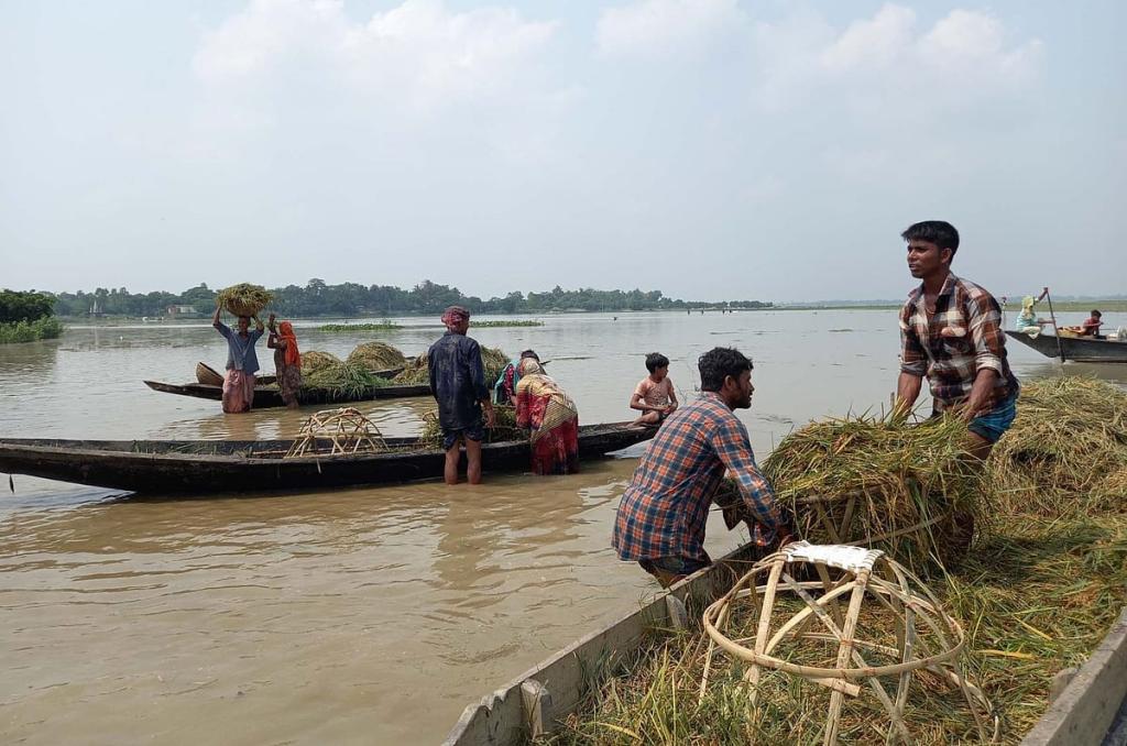 বাঁধের ‘ব্যবসায়’ ডুবছে হাওর, পানি নামার পথের বাধা নিয়ে দুশ্চিন্তা