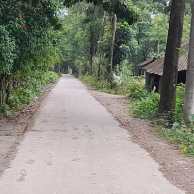 গ্রামের নাম ‘ধানের শিষ’, এমন অদ্ভুত নামকরণের পেছনে যে কাহিনি
