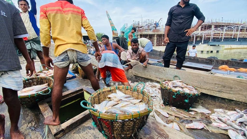 ছয় দিন সাগরে ভেসে ছিল এফভি কুলসুমা, শেষ দিনে জালে ২৬ লাখ টাকার ইলিশ