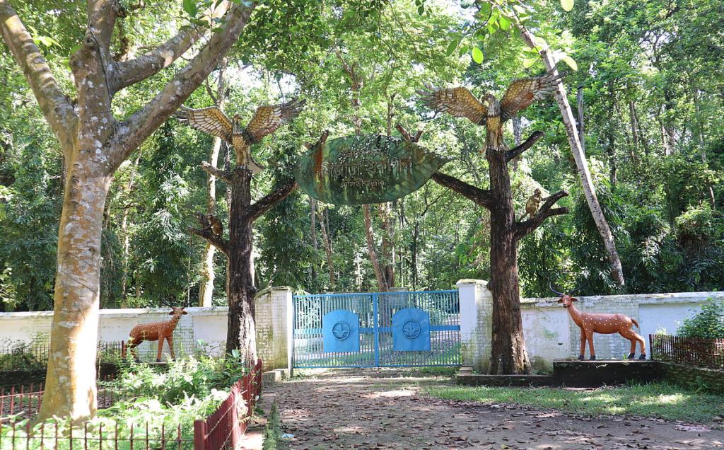 মৌলভীবাজার শহরের পাশে বর্ষিজোড়া ইকোপার্ক, সবুজে ঘেরা এক নির্জন বন