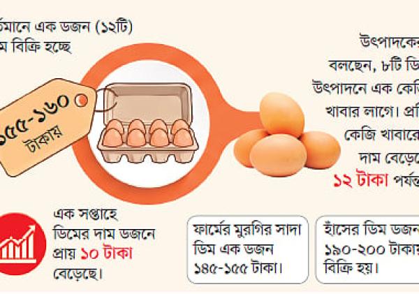 একটি ডিম প্রায় ১৫ টাকা, হালি ৫৫ টাকা