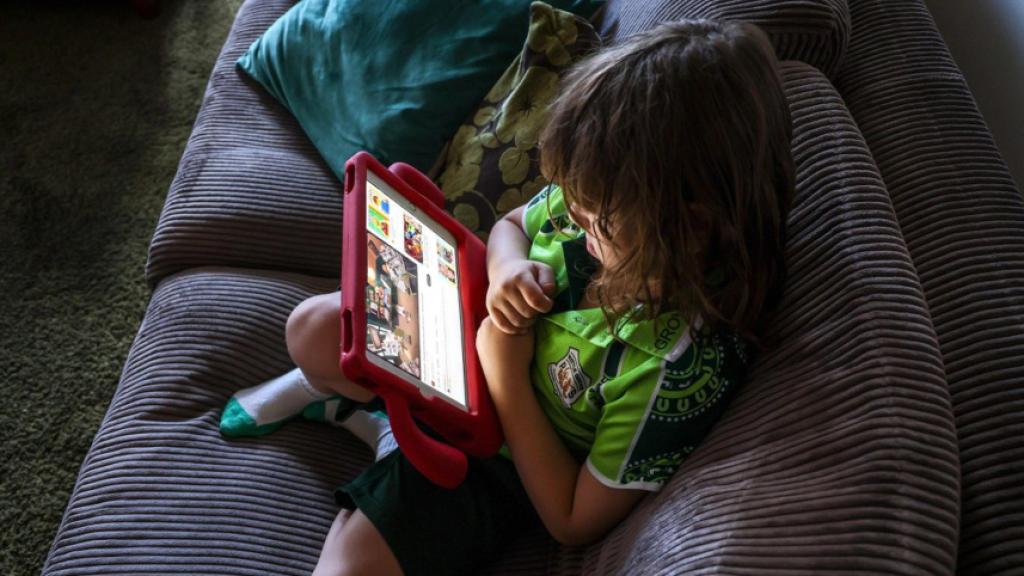 এবার অস্ট্রিয়াতেও শিশুদের জন্য নিষিদ্ধ সামাজিকমাধ্যম